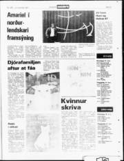 Síða 23