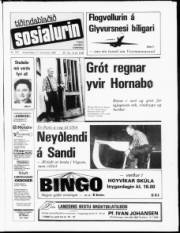 Síða 1