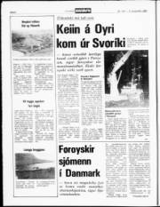 Síða 8