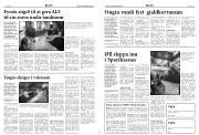 Síða 4