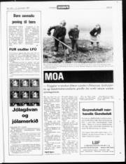 Síða 23