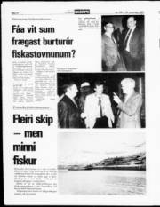 Síða 10