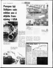 Síða 17