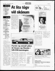 Síða 19