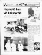 Síða 20