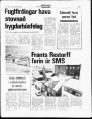 Síða 3