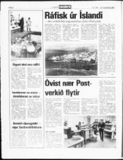 Síða 8