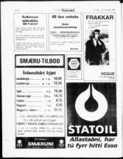Síða 18