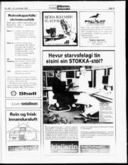 Síða 19