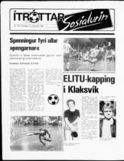 Síða 10