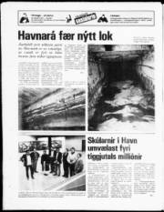 Síða 20