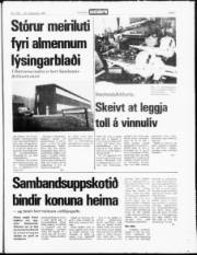 Síða 3