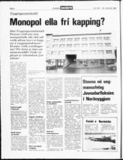 Síða 4
