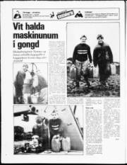 Síða 20
