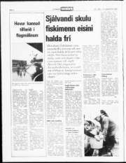Síða 2