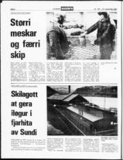 Síða 8
