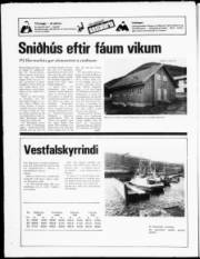 Síða 24