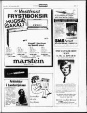 Síða 15