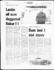 Síða 16
