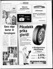 Síða 17