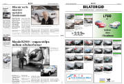 Síða 19