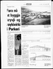 Síða 18