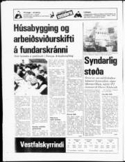 Síða 20