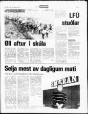 Síða 3