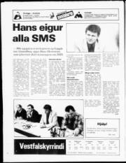Síða 20