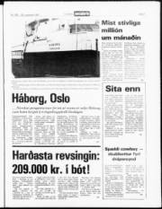 Síða 3