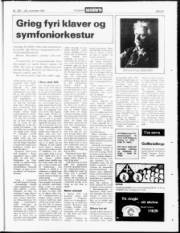 Síða 23