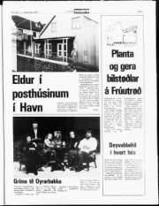 Síða 3