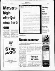Síða 5
