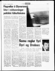 Síða 7