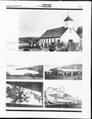 Síða 11