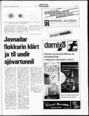 Síða 13