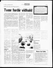 Síða 3