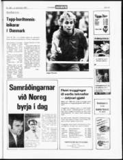 Síða 15
