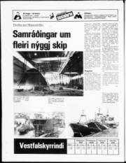 Síða 20