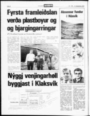 Síða 2