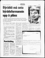 Síða 3