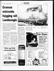 Síða 15