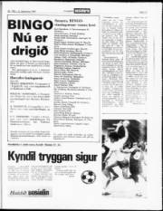 Síða 17