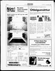 Síða 20