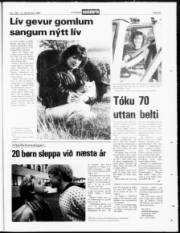 Síða 23
