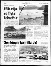 Síða 2