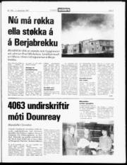 Síða 3