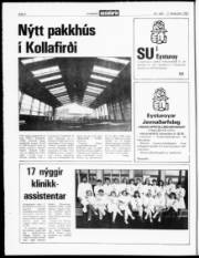 Síða 4