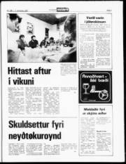 Síða 5