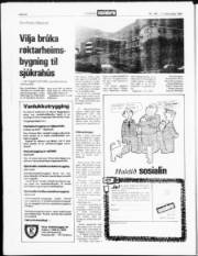 Síða 20